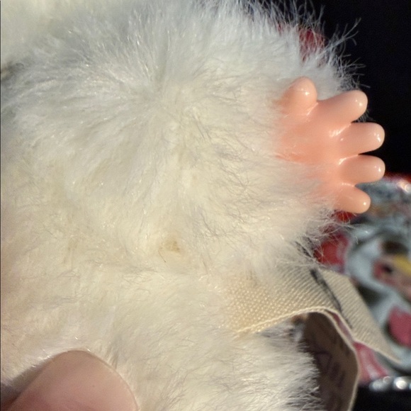 Cureplaneta Cats and Dogs 4.0 - Picture 9 of 9